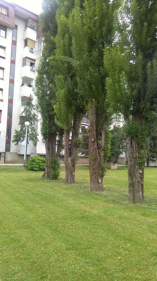 New Studio Apartment Sun With Free Parking Zagreb Buitenkant foto